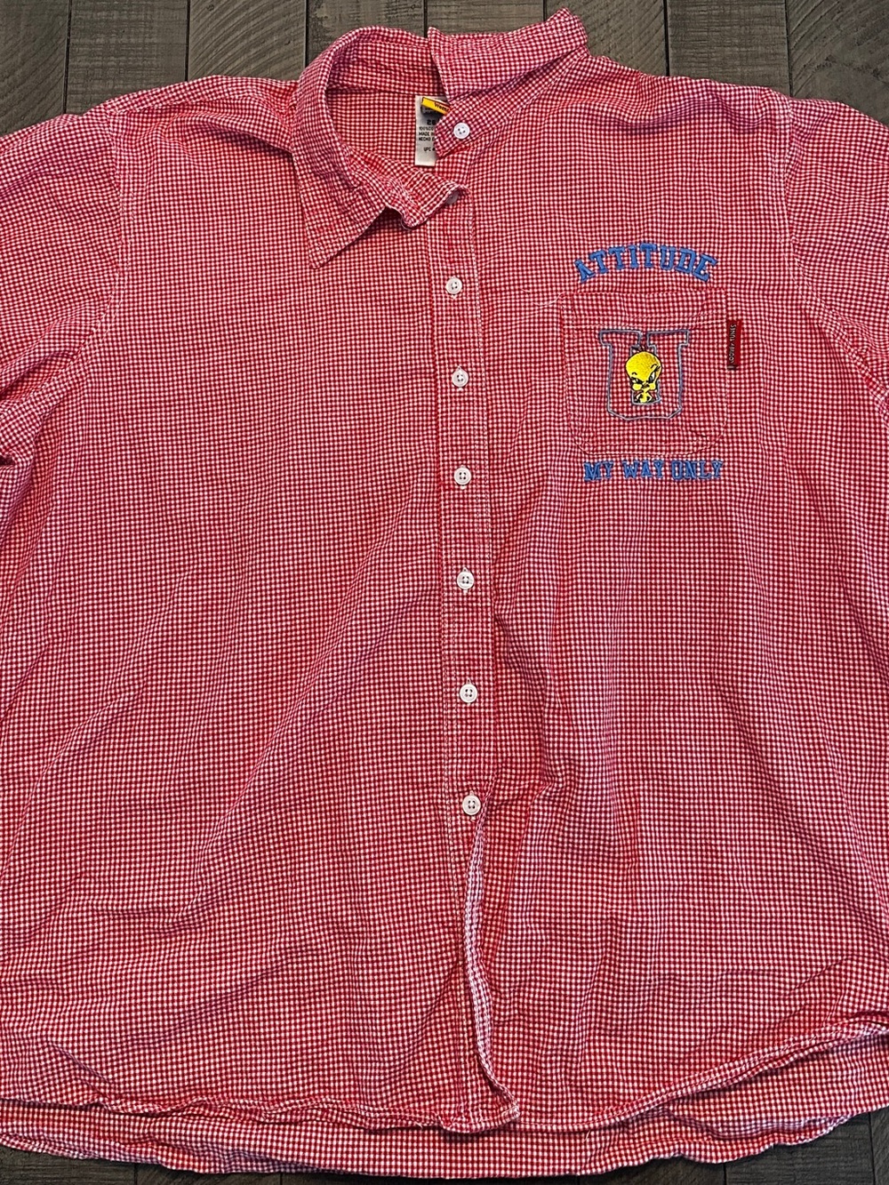 Warner Bros. Red Micro-Gingham Button-Down Shirt with Tweety Embroidered Chest